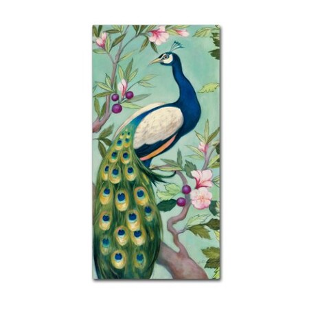 Julia Purinton 'Pretty Peacock II' Canvas Art,16x32